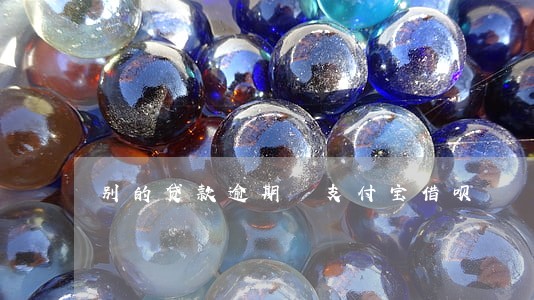 别的贷款逾期 支付宝借呗 别的贷款逾期 支付宝借呗